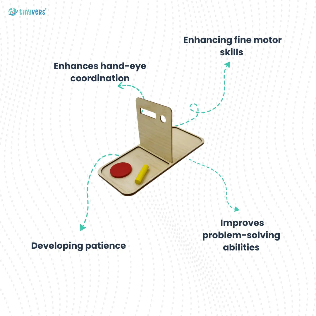 Montessori coins & pegs