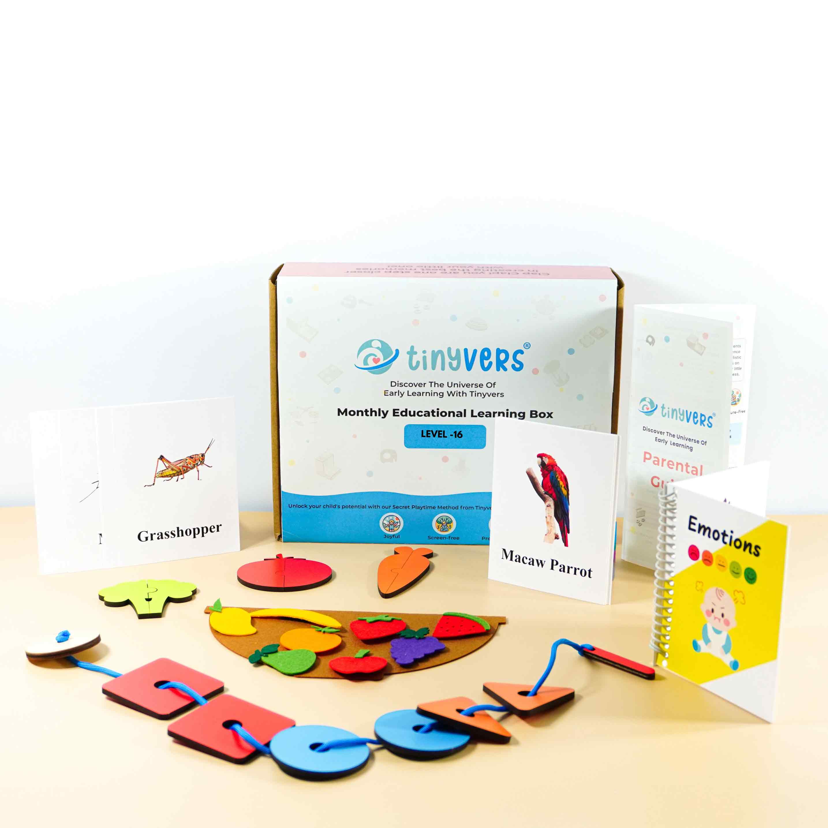 Month 16 : Monthly Educational Learning Box | Level 16 | Montessori Box