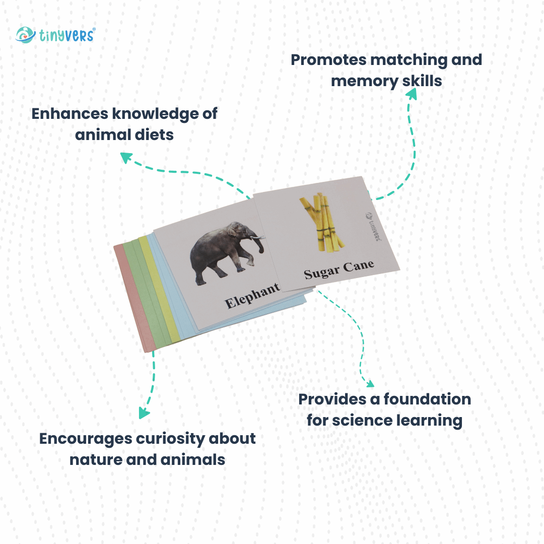 Month 25 : Monthly Educational Learning Box | Level 25 | Montessori Box