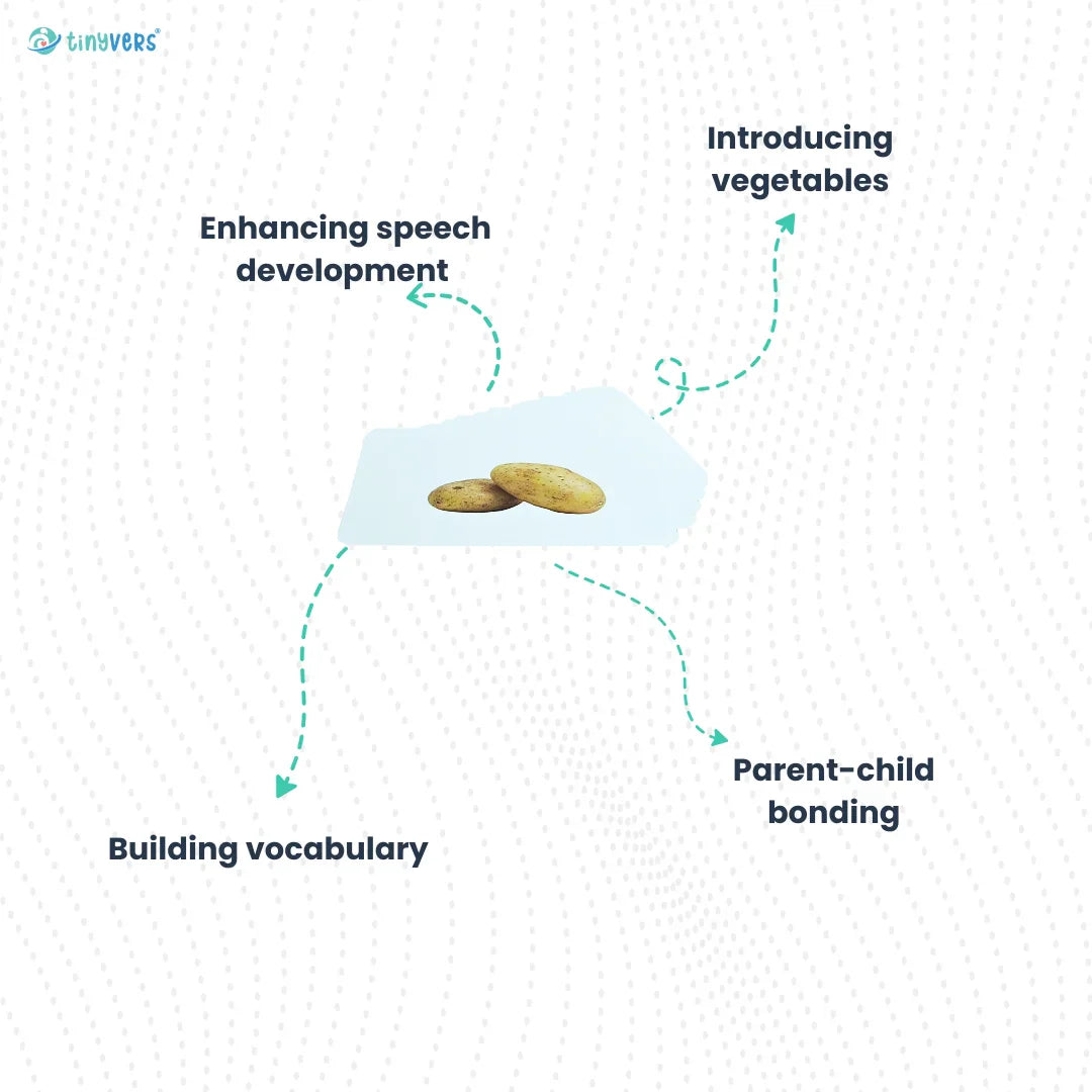 Vegetable flashcards