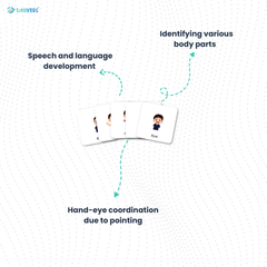 Educational body parts cards