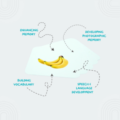 Animals & Food Association