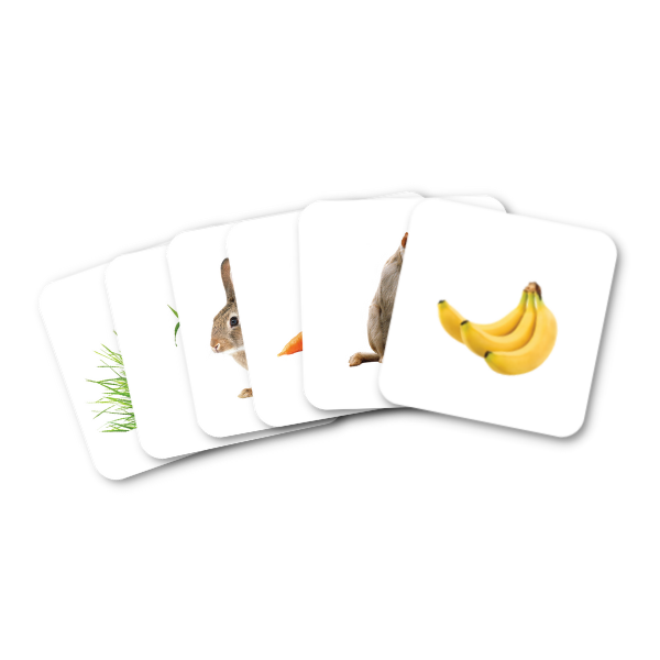 Animals & Food Association