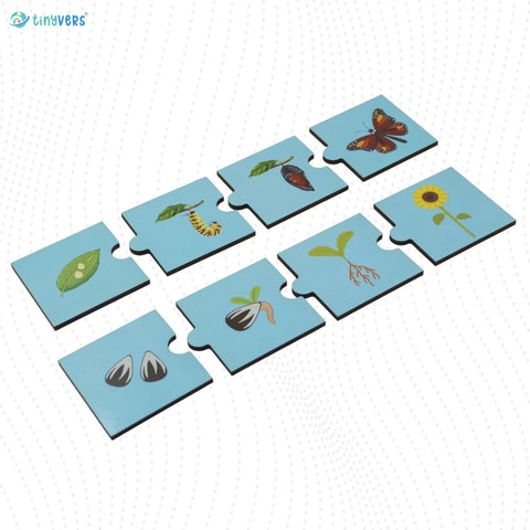 Life Cycle Puzzle - Flower & Butterfly