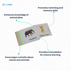 Month 25 : Monthly Educational Learning Box | Level 25 | Montessori Box