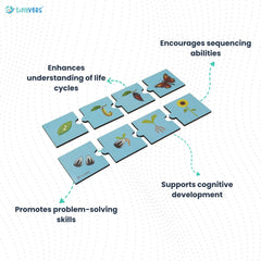 Life Cycle Puzzle - Flower & Butterfly