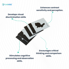 Visual Perception Cards