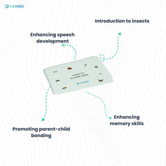 Educational insects flashcards