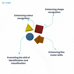 Colorful sorting shapes