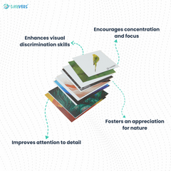 Month 29 : Monthly Educational Learning Box | Level 29 | Montessori Box