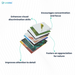 Month 29 : Monthly Educational Learning Box | Level 29