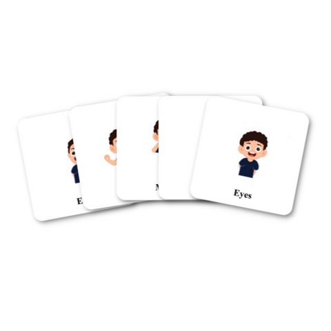 Body parts Cards