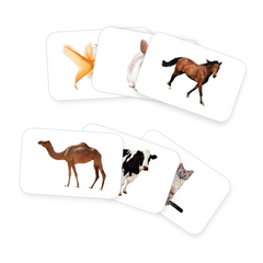 Farm animal flashcards